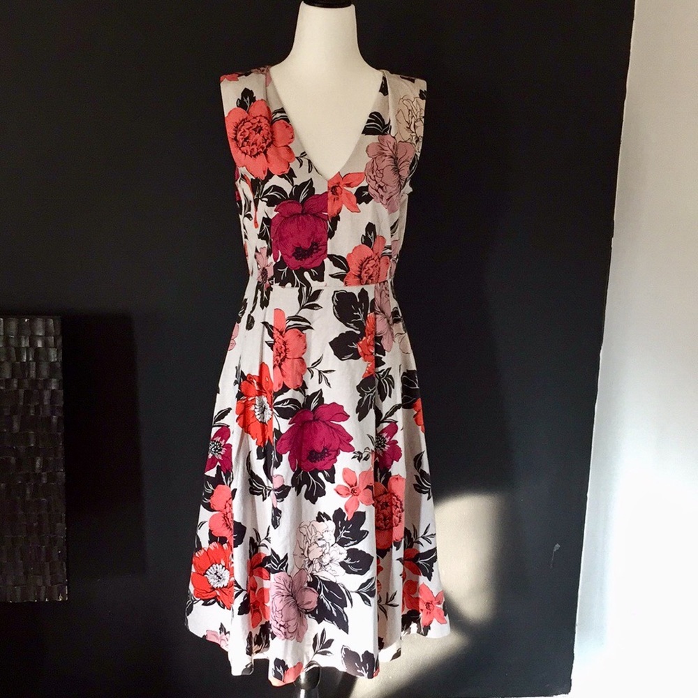Ann Taylor Peony Print Dress